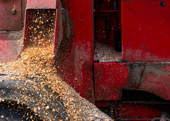Машинист рубительной машины